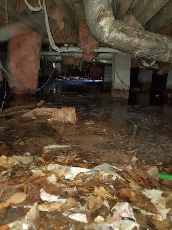 Crawl space flood assessment for Leak Detection & Repair in Mira Monte
